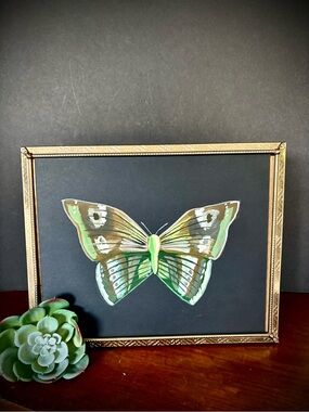 Framed Original Green Butterfly Wall Art- Gouache, Vintage Frame
